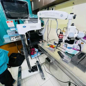 Veterinary SHEEP _ MONKEY_PIG Ophthalmic Surgical Microscope, 25x