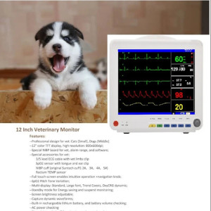 Veterinary Monitor, Display Size: 12.1 Inch, LED