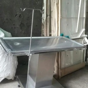 Stainless Steel Veterinary Operation Examination Grooming Equipment, For Hospitals