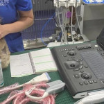 Pain Management Imaging Portable Veterinary ultrsound Medicine