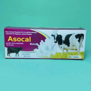 Veterniary Asocal Bolus, Prescription, Packaging Type: Box