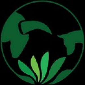 BlackMango Herbs