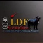 LDF Gentics