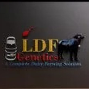 LDF Gentics